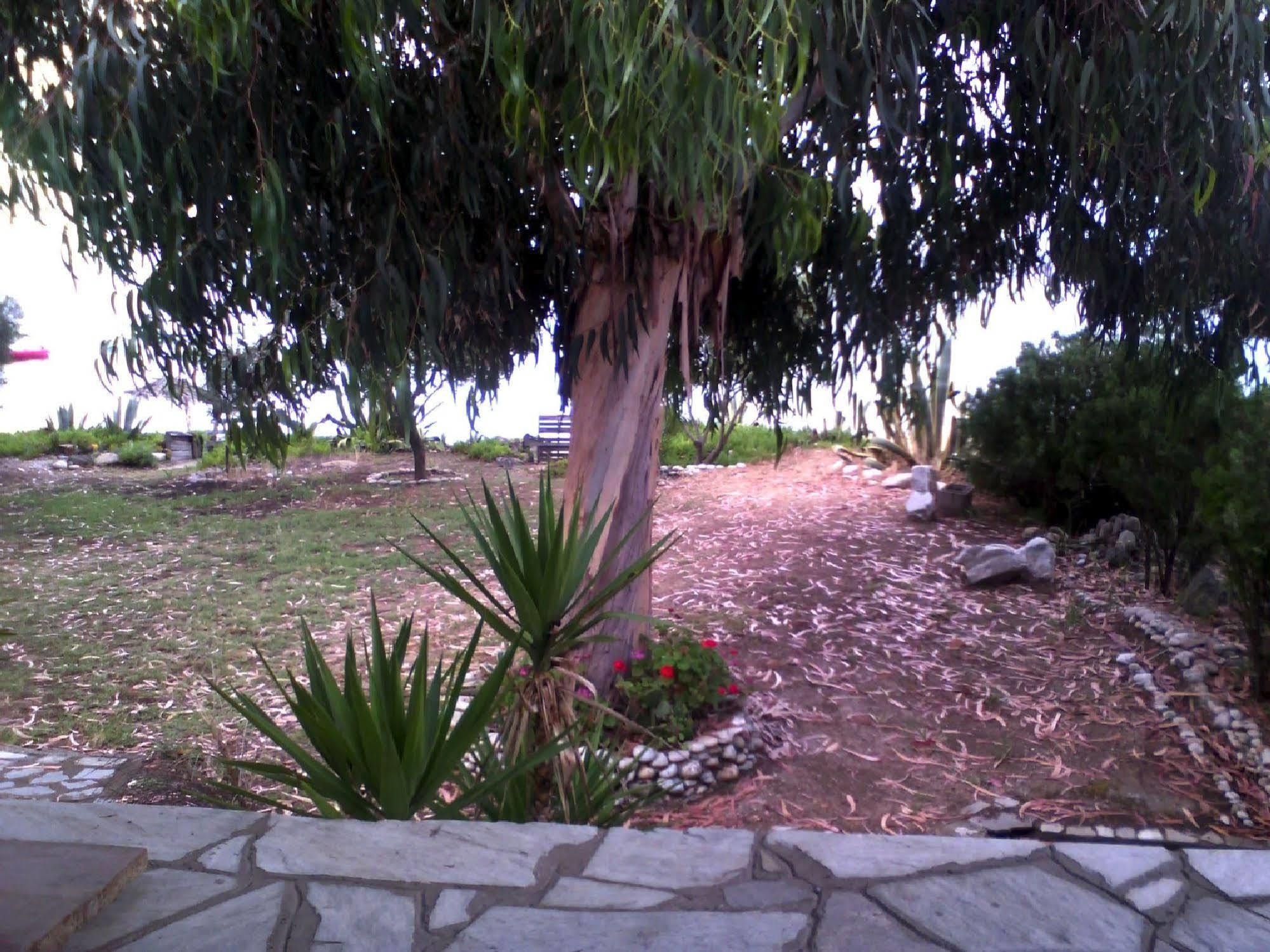 Villa Agrelia House Ouranoupoli Exterior foto